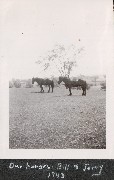 Horses- Bill & Jerry